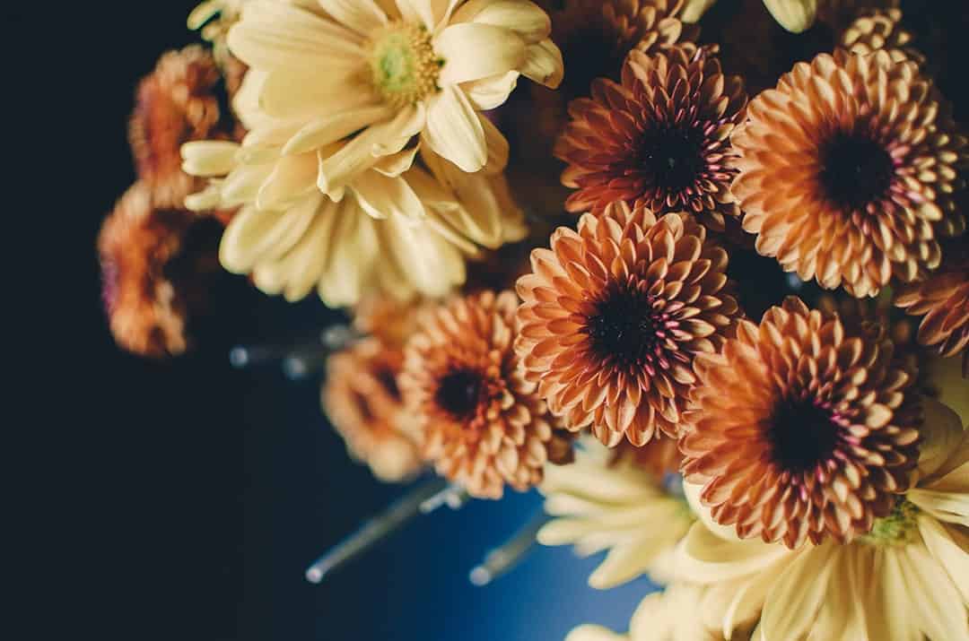 chrys-min