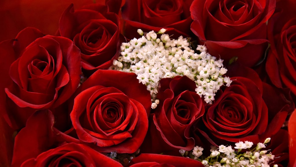 valentine moustakas flowers